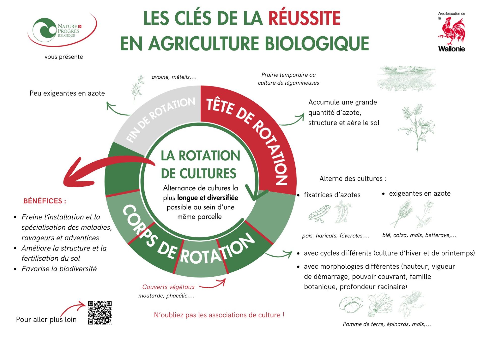 La rotation de culture