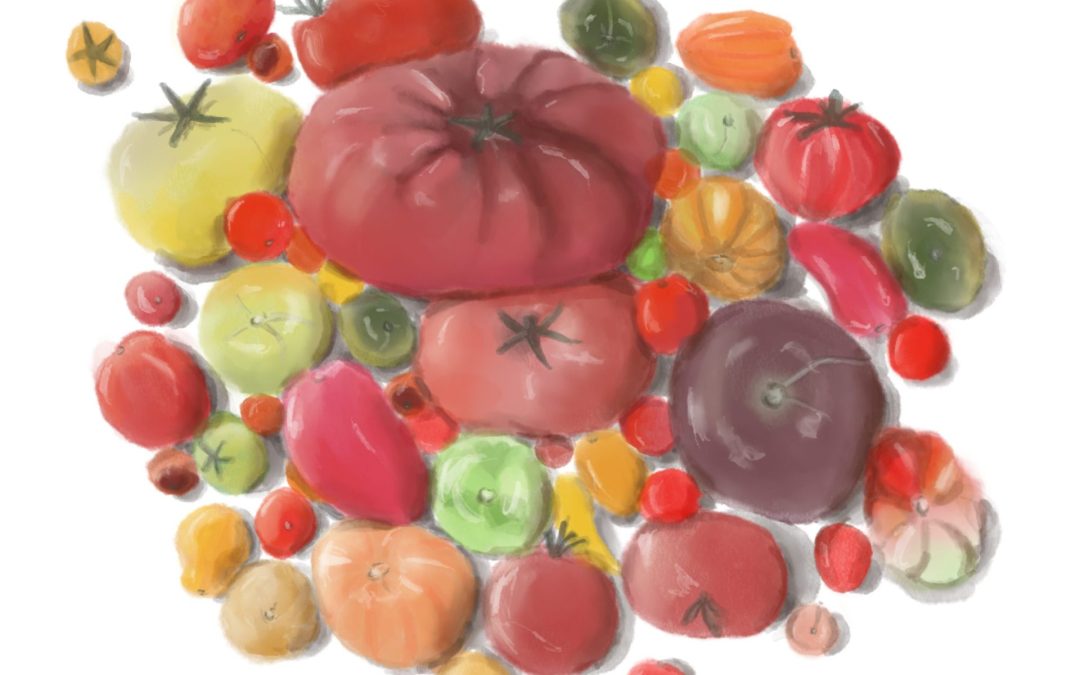 A vos semences ! Résister à l&rsquo;appropriation