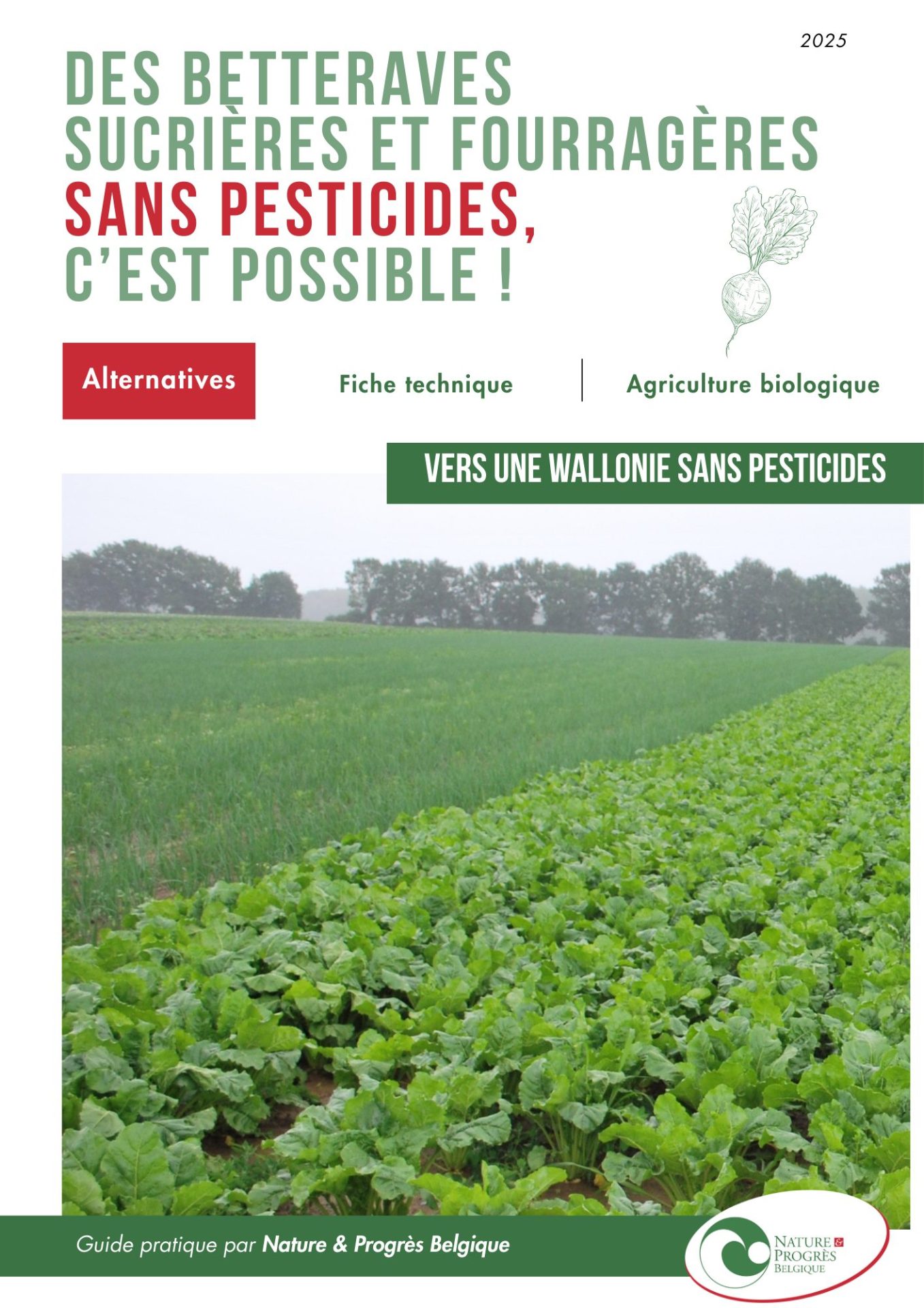 Fiche technique - Des betteraves sans pesticides, c'est possible !