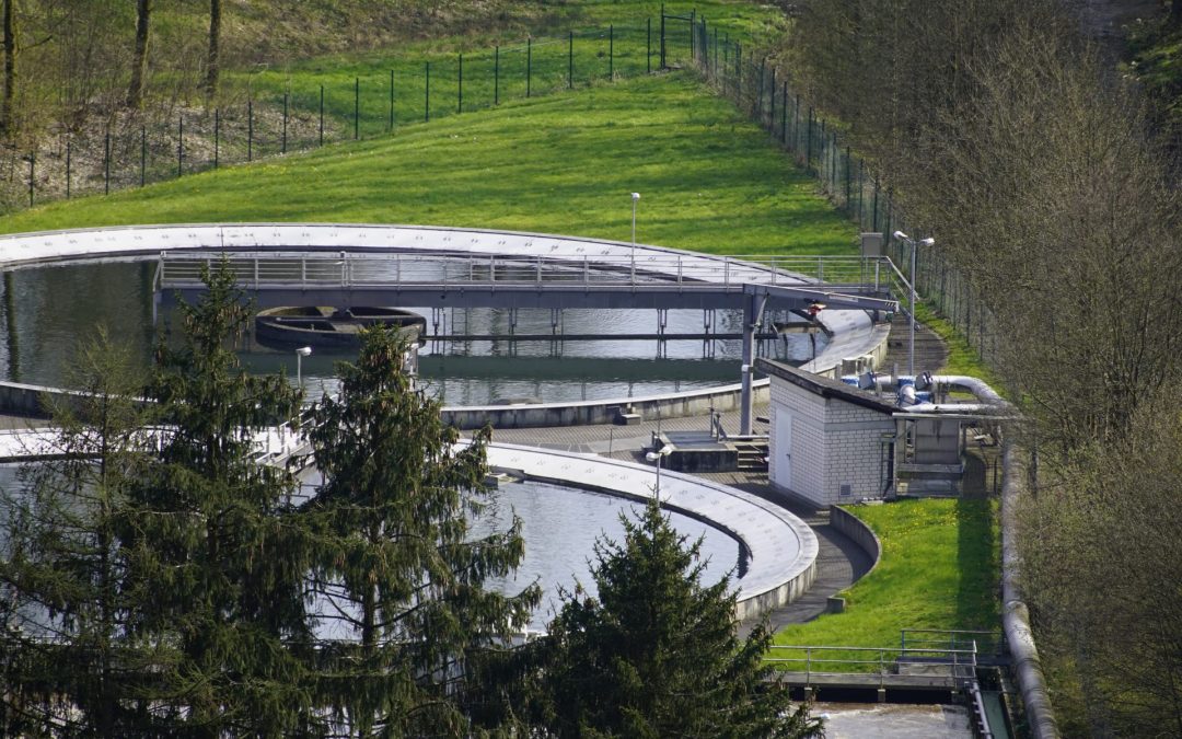 Pesticides : qui paie les dégâts ?