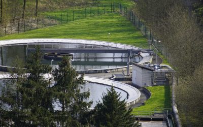 Pesticides : qui paie les dégâts ?