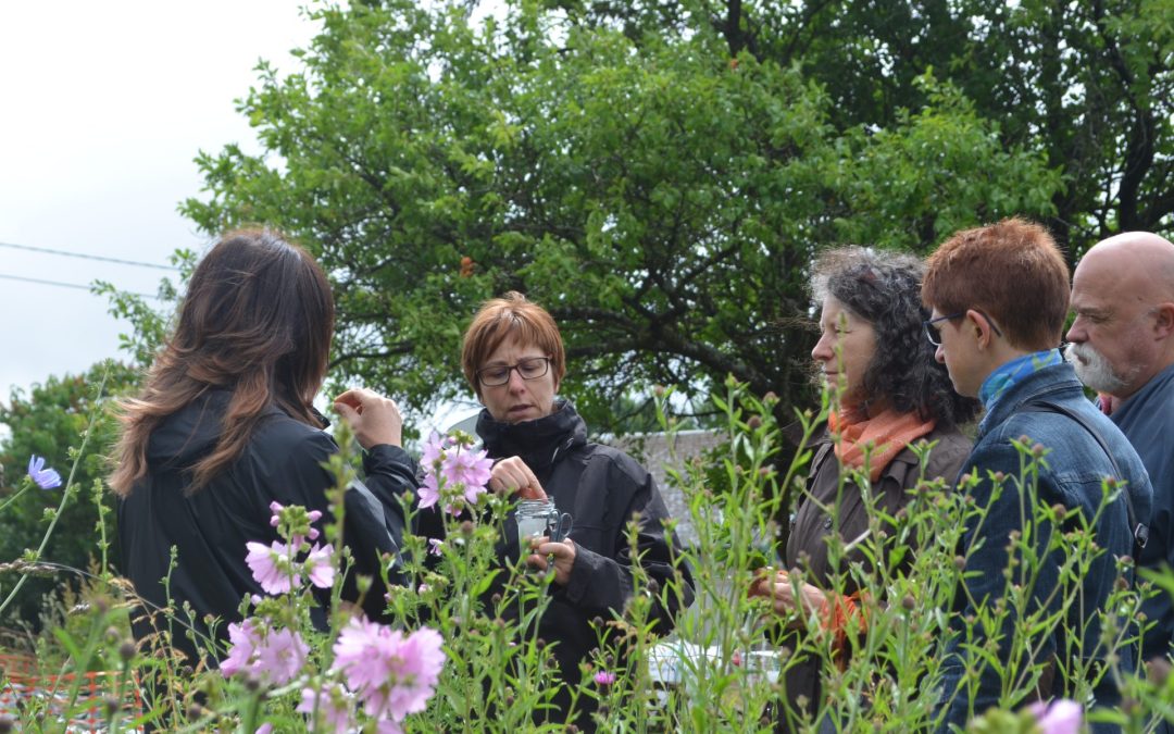 Renforcer nos liens avec le vivant