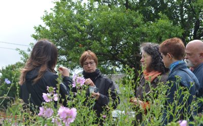 Renforcer nos liens avec le vivant