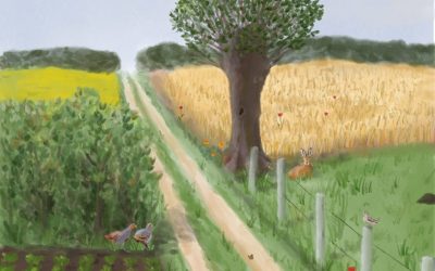 Plaines agricoles silencieuses : il est temps d’agir !