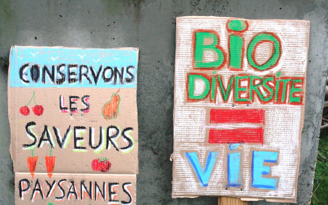 Agroécologie : revenir à ses fondements