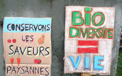 Agroécologie : revenir à ses fondements