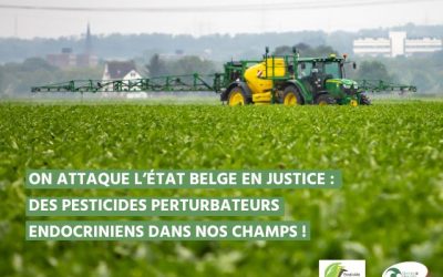 Nature & Progrès et PAN Europe attaquent l’état belge en justice : des nouvelles dérogations accordées pour des pesticides perturbateurs endocriniens.
