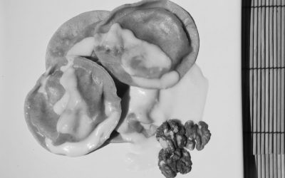 Saveurs bio locales – Ravioles arroche et chèvre