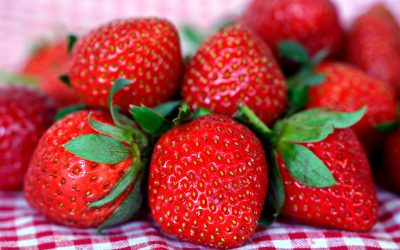 Quand les fraises racontent l&rsquo;histoire des pesticides